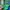 NEPA Vintage Sportswear Bag Pria green blue photo 5