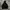 Hoodie Andersson Bell photo 1