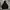 Hoodie Andersson Bell