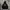 Hoodie Andersson Bell photo 2