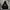 Hoodie Andersson Bell