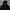 Hoodie Andersson Bell photo 4