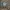 Dickies Streetwear Windbreaker Pria multicolor photo 2