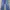 Dickies Streetwear Biker Jeans Pria blue photo 1