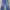 Dickies Streetwear Biker Jeans Pria Blue