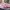 nike dunk low tripple pink  photo 5
