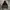 Hoodie Dickies Rare Item photo 1