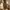 Louis Vuitton LV Monogram Loop 2022 photo 8