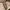 Louis Vuitton LV Monogram Loop 2022 photo 7
