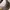 Louis Vuitton LV Monogram Loop 2022 photo 3