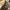 Louis Vuitton LV Monogram Loop 2022 photo 2