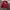 Hodie Nike Skateboard (SB) Maroon Color photo 1