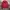 Hodie Nike Skateboard (SB) Maroon Color photo 2