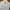 Banana Republic Minimalist Polo shirt Pria multicolor white photo 3