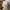 New Balance Shifted Woven photo 6
