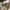 New Balance Shifted Woven photo 5