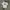 Stussy Basic Tee photo 1