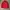 Feltics Coach Jacket photo 3