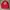 Feltics Coach Jacket photo 1