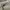 Cargo Pants Cross Colour Vintage Original photo 2