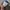 Cargo Pants Cross Colour Vintage Original photo 3