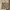 Cargo Pants Cross Colour Vintage Original photo 6