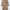 Luxury Minimalist Trench coat Wanita tan photo 1