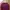 Fred Perry Luxury Casual Sweatshirt Pria burgundy photo 2