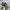 Newbalance 1906 R Cordura Pack Olive photo 1