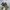 Newbalance 1906 R Cordura Pack Olive