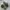 Newbalance 1906 R Cordura Pack Olive photo 2
