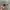 Oakley Juliet Sunglasses Not OG photo 3