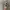 Oakley Juliet Sunglasses Not OG photo 2