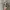 Oakley Juliet Sunglasses Not OG