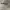 Oakley Juliet Sunglasses Not OG photo 7