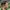 Oakley Juliet Sunglasses Not OG photo 5