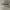 Oakley Juliet Sunglasses Not OG photo 6