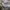 Nike Vintage Y2K Sweatshirt Pria tan cream photo 5