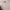 Nike Vintage Y2K Sweatshirt Pria tan cream photo 4