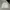 Crewneck dijon white  photo 3