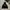 Hoodie palace black  photo 4