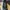 Salomon XT -6 ADV BLACK PHANTOM Original
GOLDEN SIZE!!! photo 1