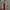 Iphone 11 Pro 64GB ex Inter photo 7