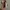 Iphone 11 Pro 64GB ex Inter photo 4