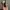 Iphone 11 Pro 64GB ex Inter photo 6