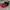 Topi formula 1 original licensed product photo 3