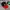 Topi formula 1 original licensed product photo 2