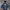 F1 BMW Jacket  photo 4