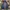 FOXFIRE OUTDOOR WATERPROOF JACKET   photo 3