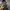 HOODIE DICKIES ART 22 photo 5